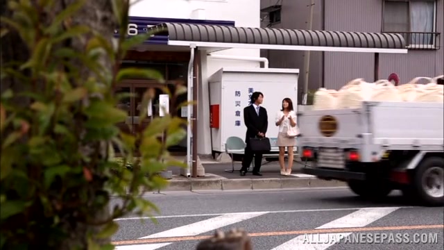 Kinky Japanese milf Nami Hoshino gets pounded in a bus.
